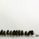 Illustration for article titled The Dead Fly Artwork Of Magnus Muhr